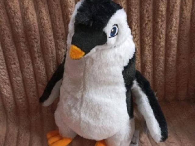 Juri Pinguin Schule der magischen Tiere Penny - 1